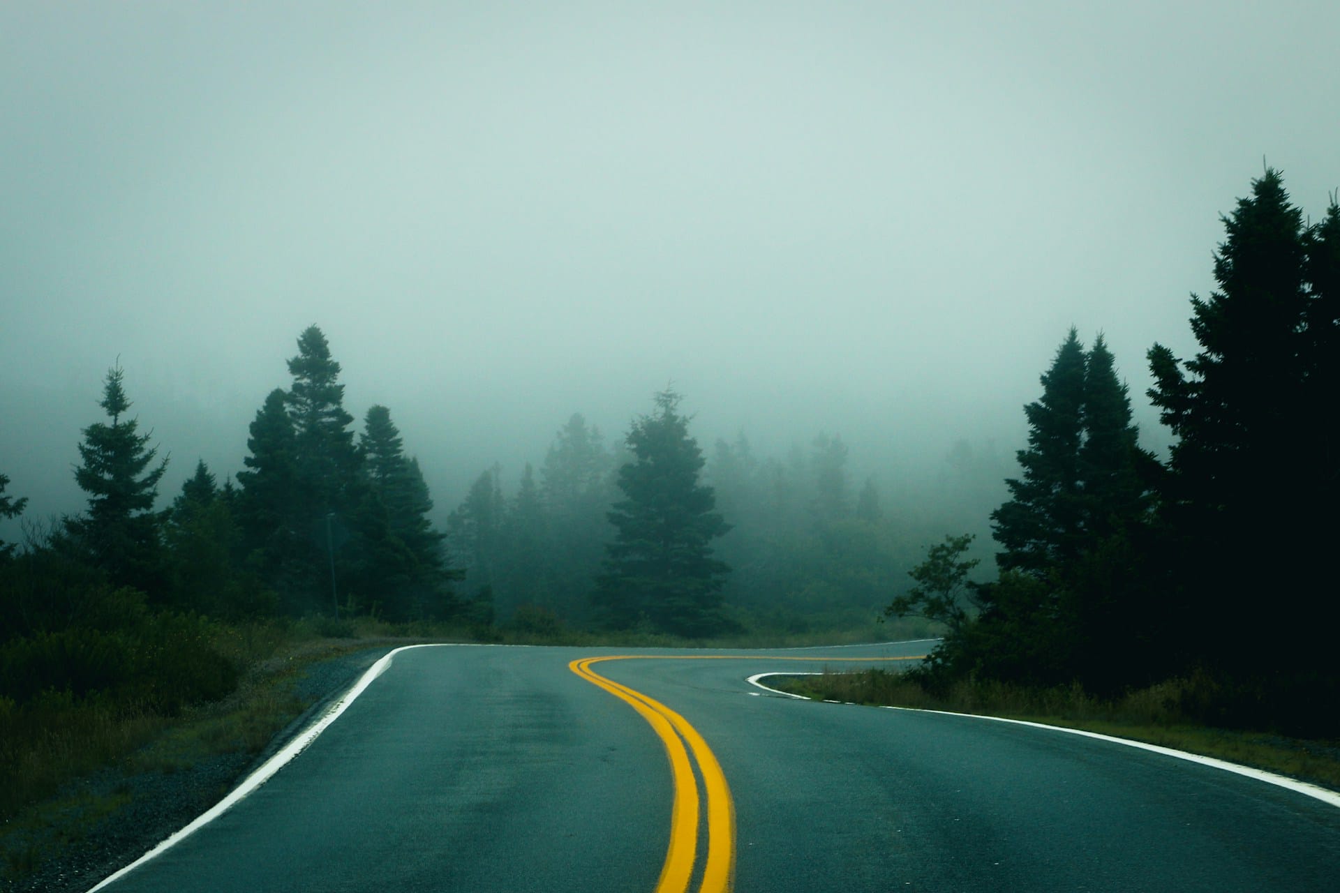 Foggy road
